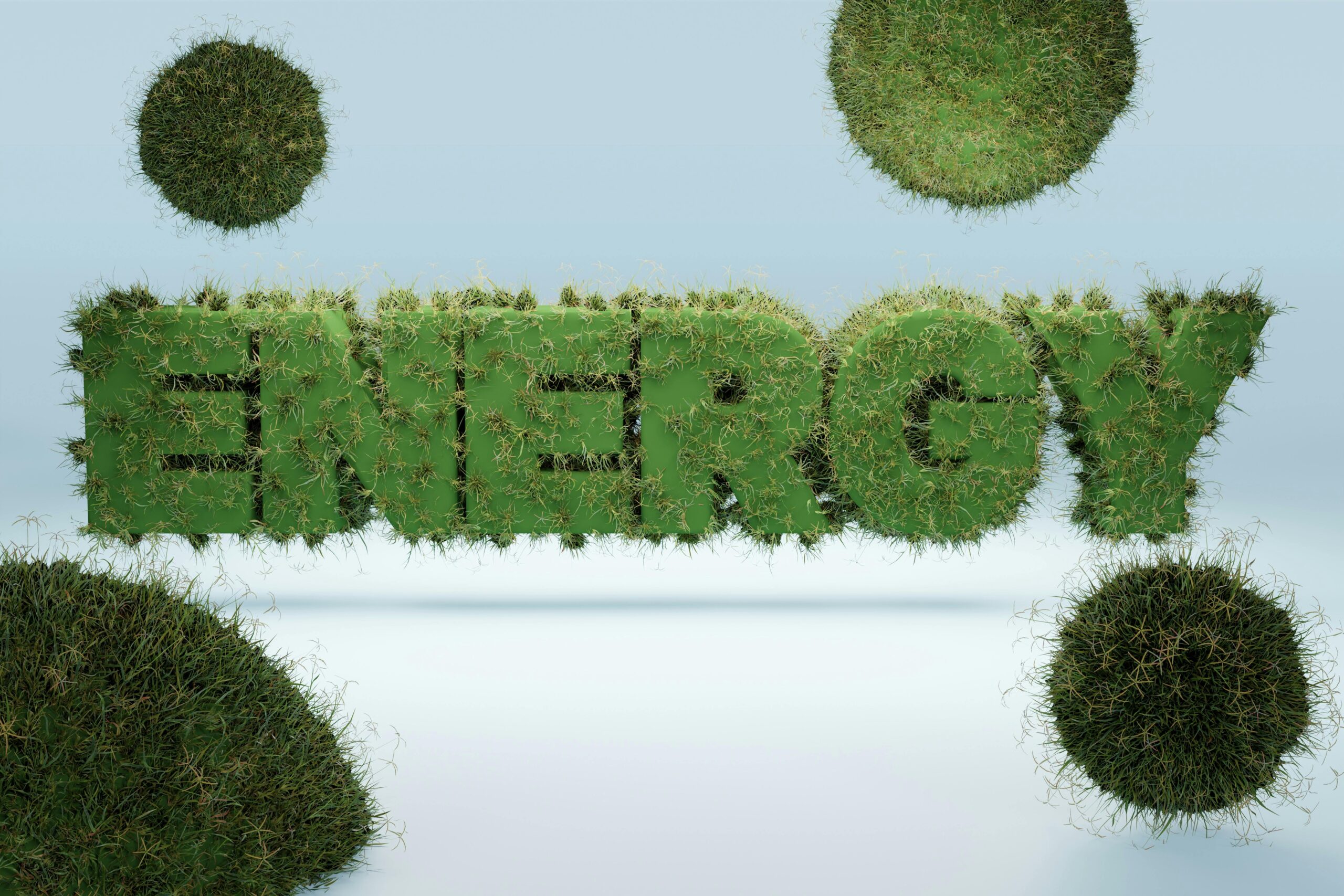 energy-sign-shaped-from-cactus